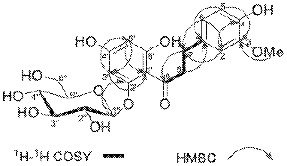 Figure imgf000053_0001