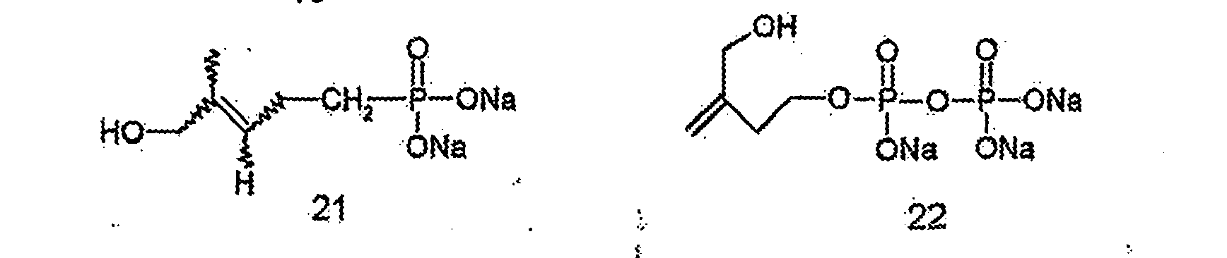 Figure imgb0019