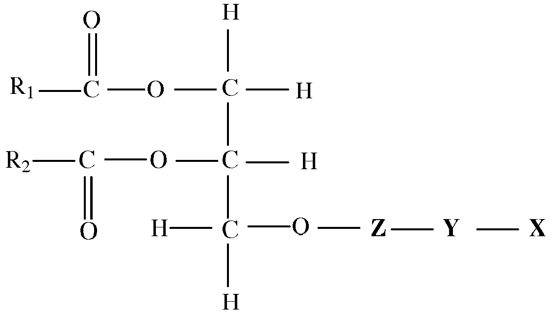 Figure imgb0016