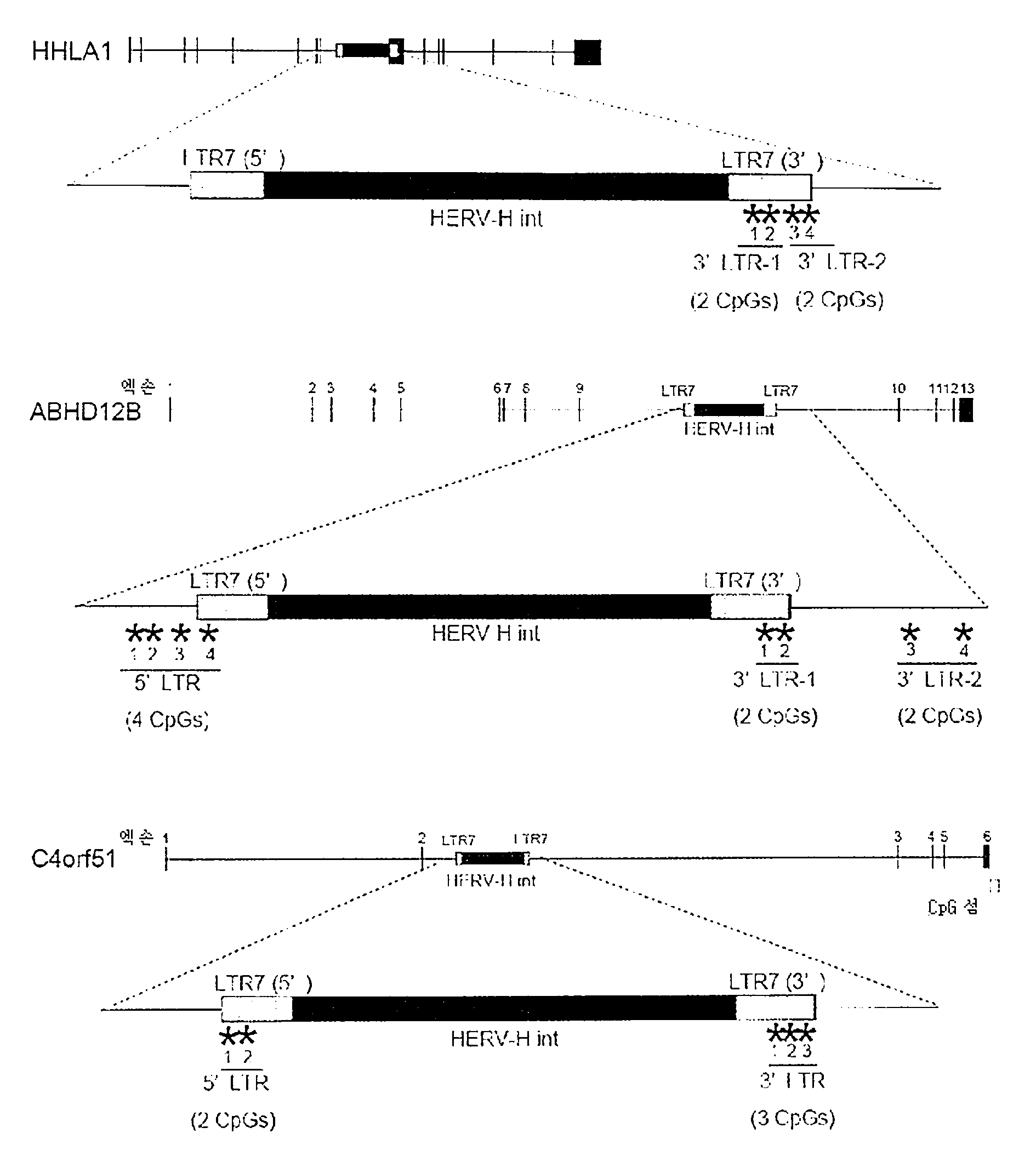 Kr20140044380a 유도 만능 줄기 세포 스크리닝 방법 Google Patents