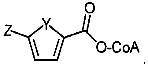 Figure imgb0216