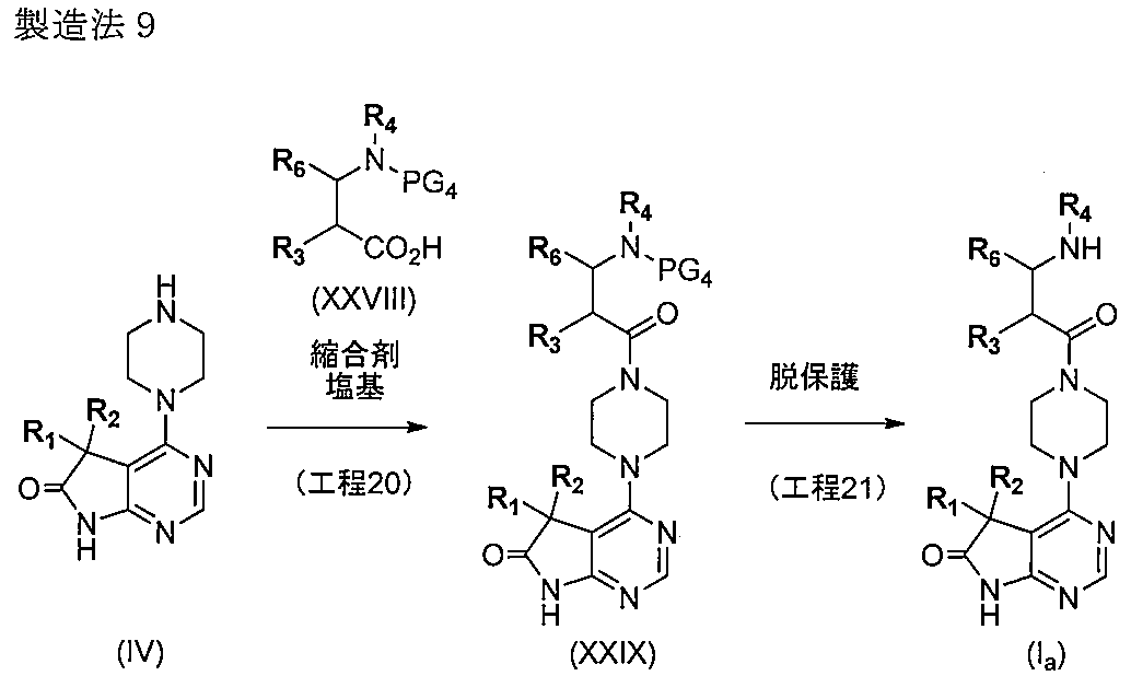 Figure JPOXMLDOC01-appb-C000011