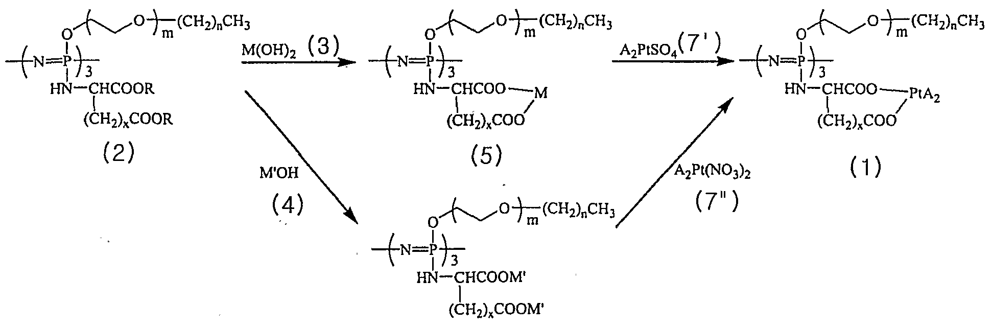 Figure imgf000009_0001