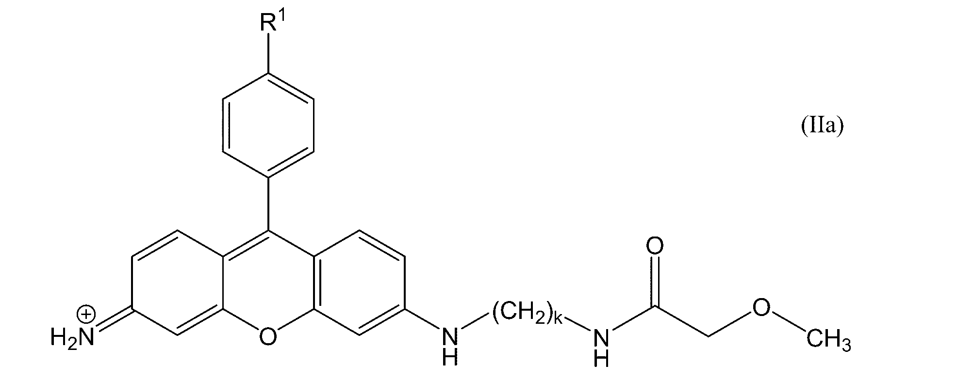 Figure JPOXMLDOC01-appb-C000007
