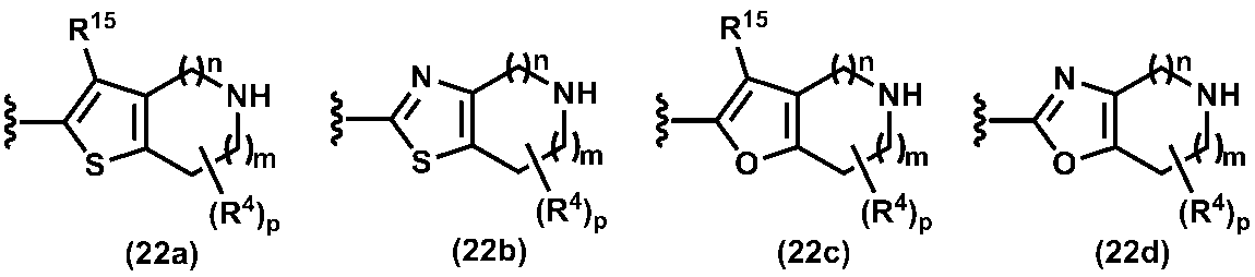 Figure JPOXMLDOC01-appb-C000021