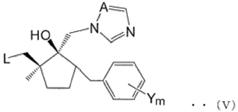 Figure imgb0013