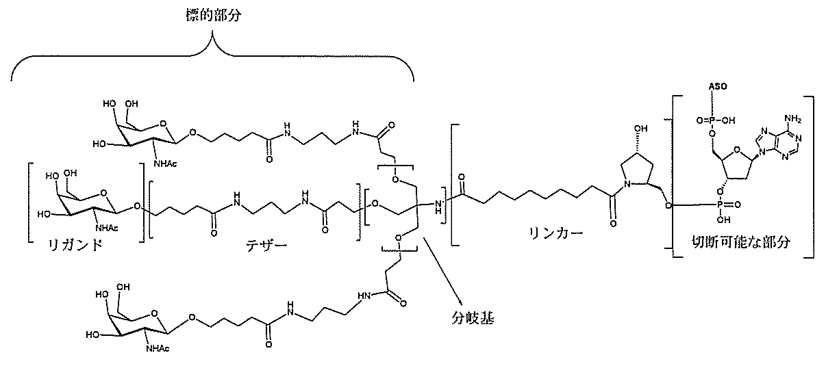 Figure 2022017514000007