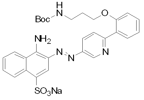 Figure JPOXMLDOC01-appb-C000104