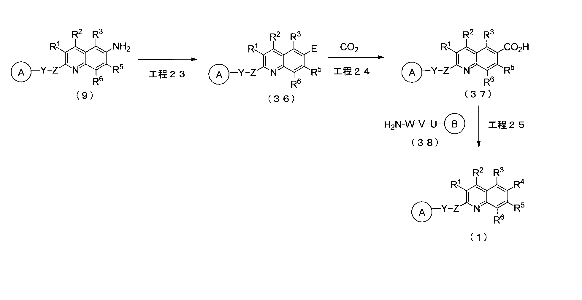 Figure JPOXMLDOC01-appb-C000031