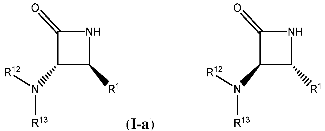 Figure imgf000303_0001