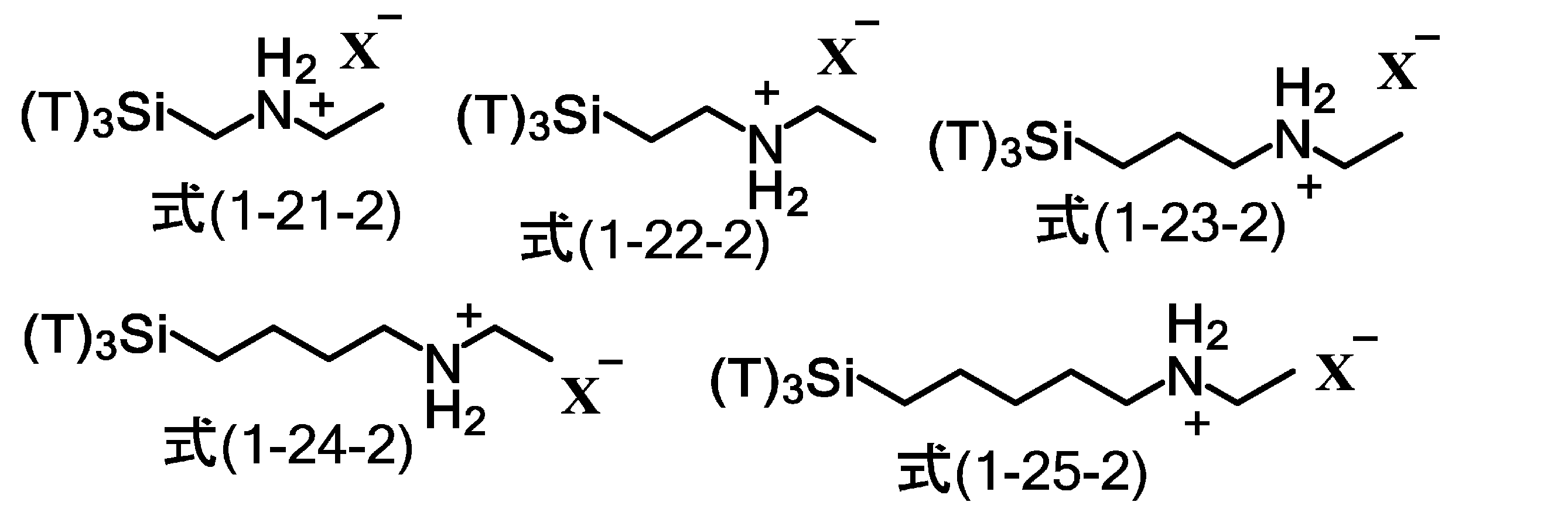 Figure JPOXMLDOC01-appb-C000047