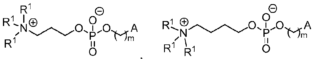 Figure imgf000053_0002