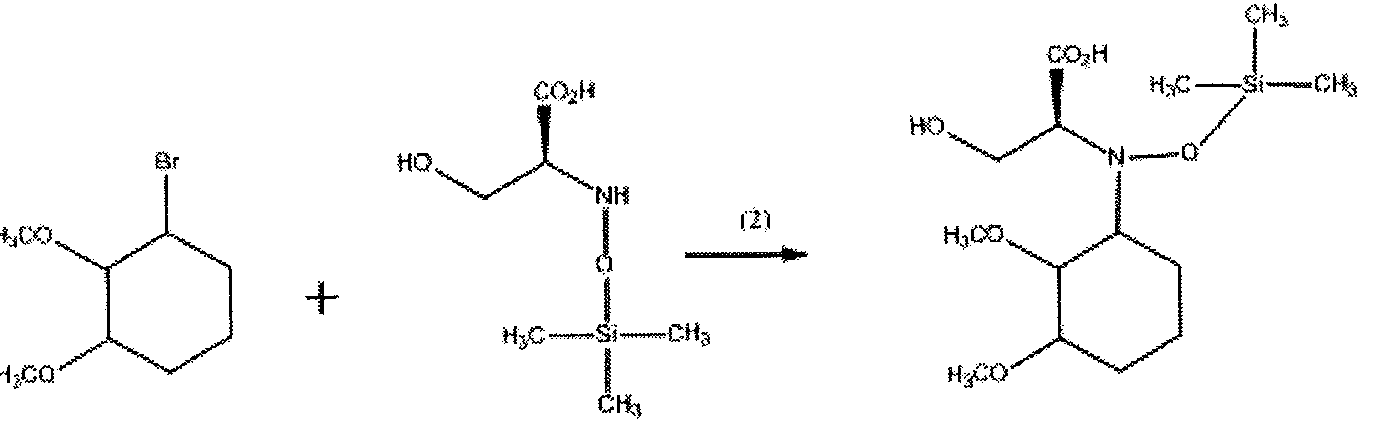 Figure imgf000029_0001