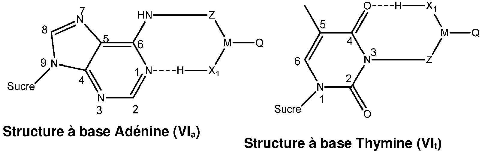 Figure imgb0011