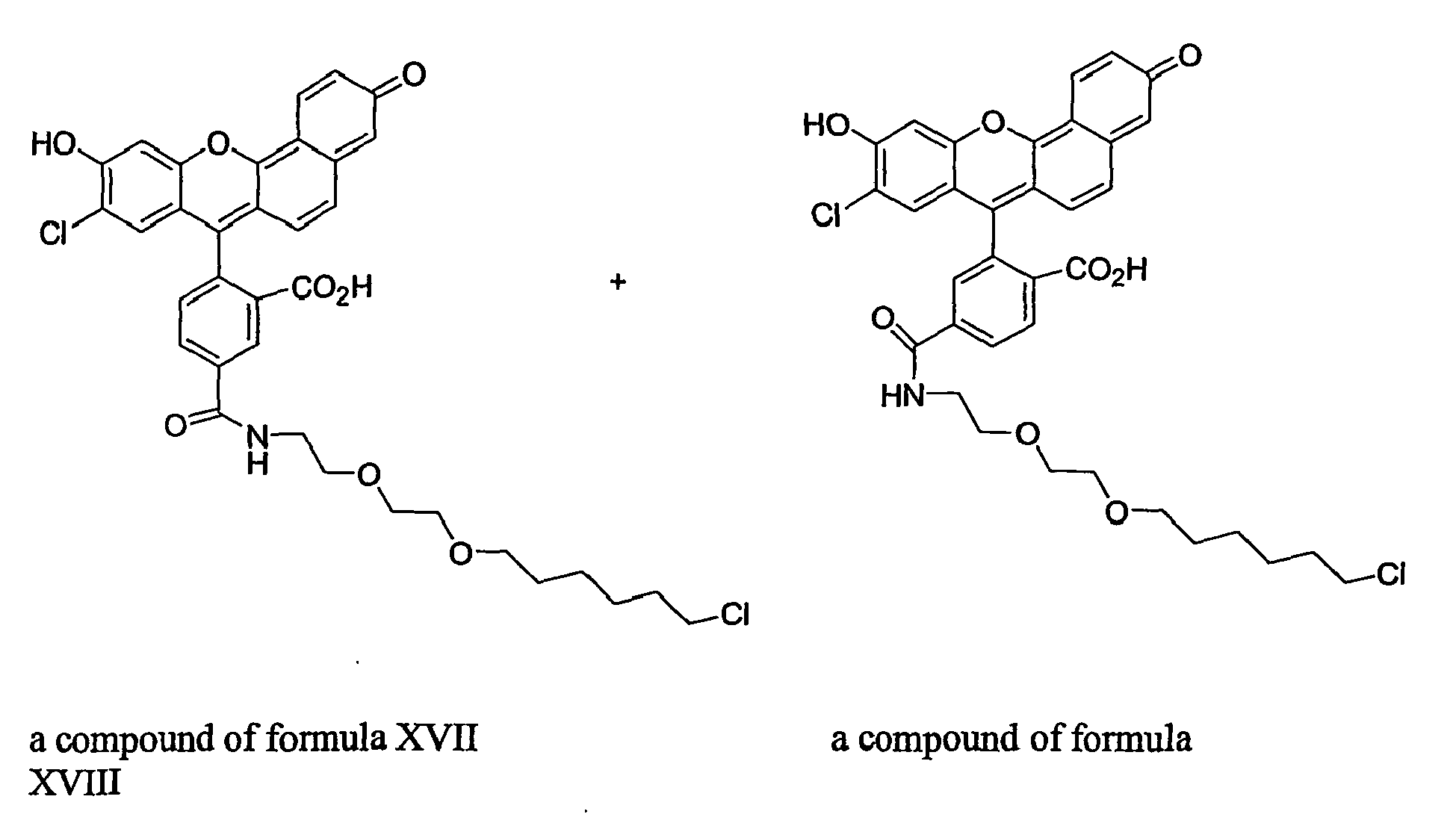 Figure imgb0013