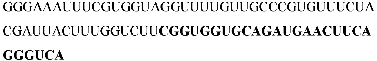 Figure imgb0033