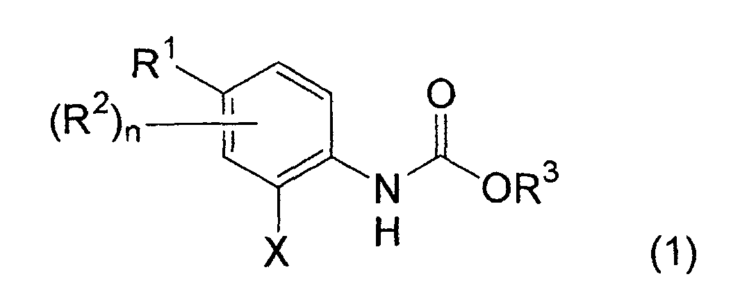 Figure 00300001