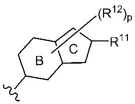 Figure JPOXMLDOC01-appb-C000036