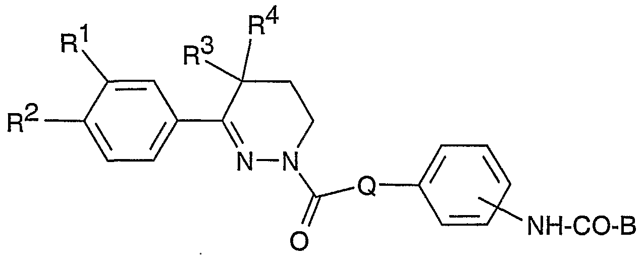Figure imgf000005_0001