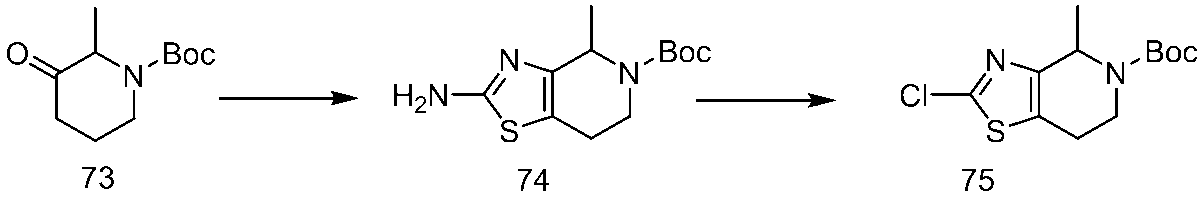Figure JPOXMLDOC01-appb-C000156