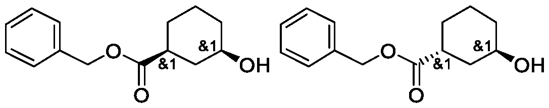 Figure imgf000257_0003