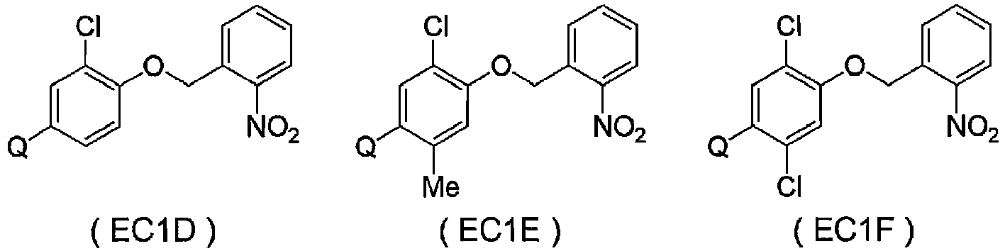 Figure imgb0125