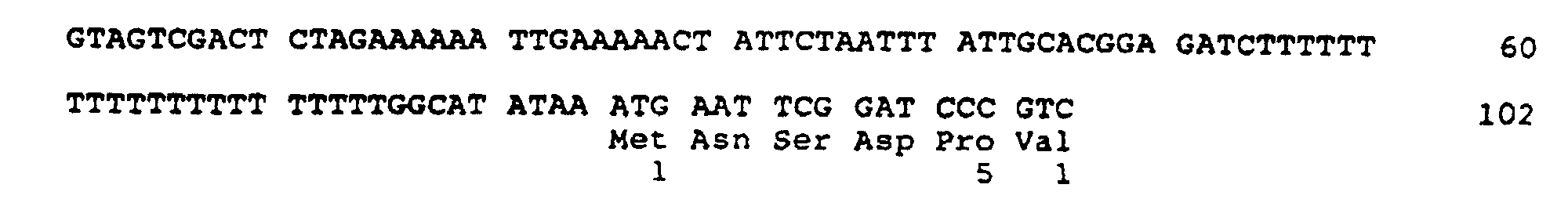 Figure 00510001