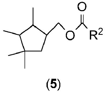 Figure imgb0026