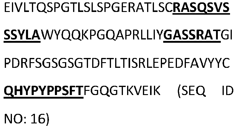 Figure imgb0051