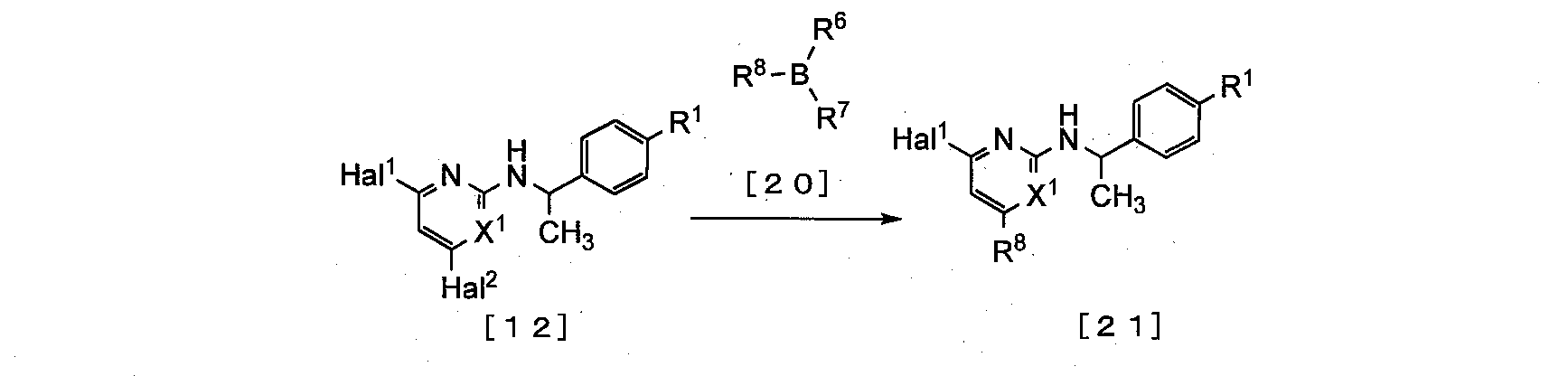 Figure JPOXMLDOC01-appb-C000054