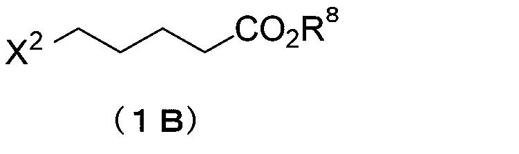 Figure JPOXMLDOC01-appb-C000019