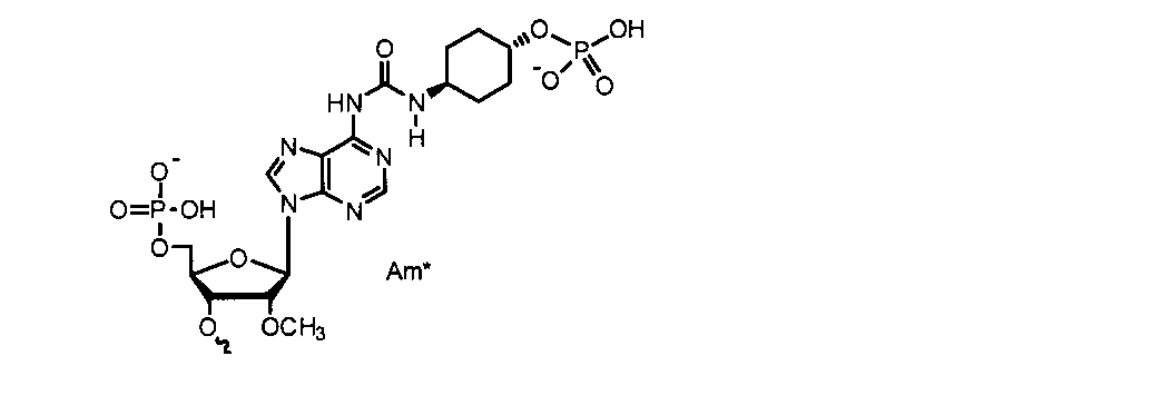 Figure JPOXMLDOC01-appb-C000028