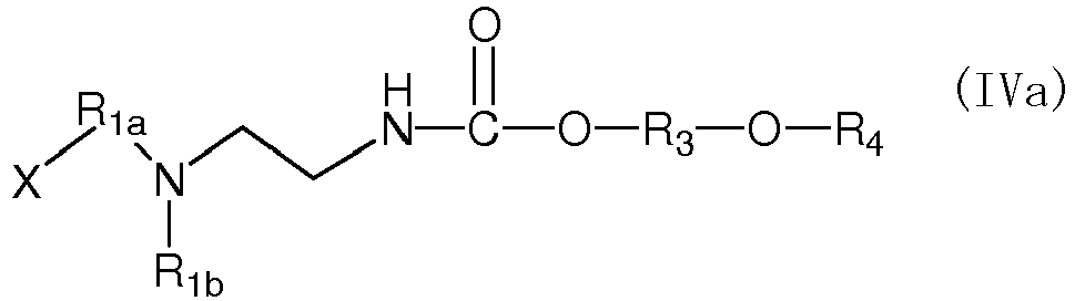 Figure imgb0019