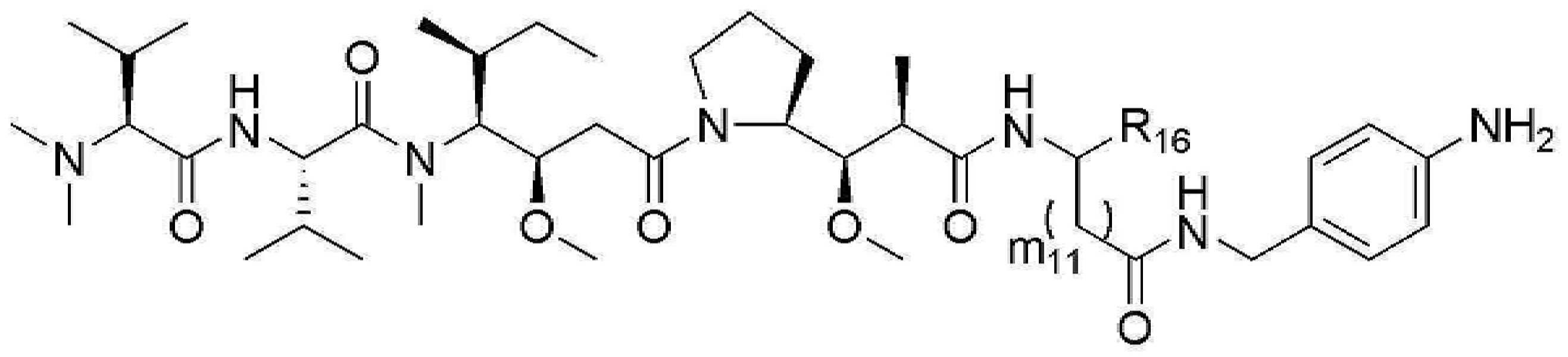 Figure pct00211