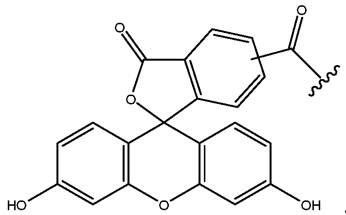 Figure imgf000053_0002
