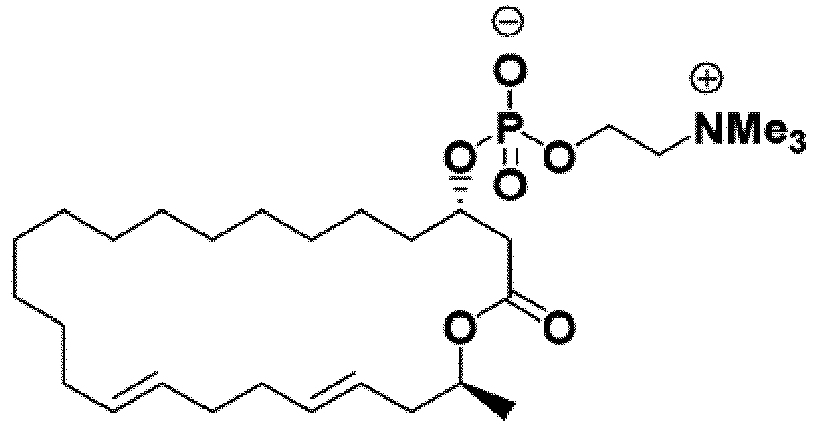 Figure imgb0094