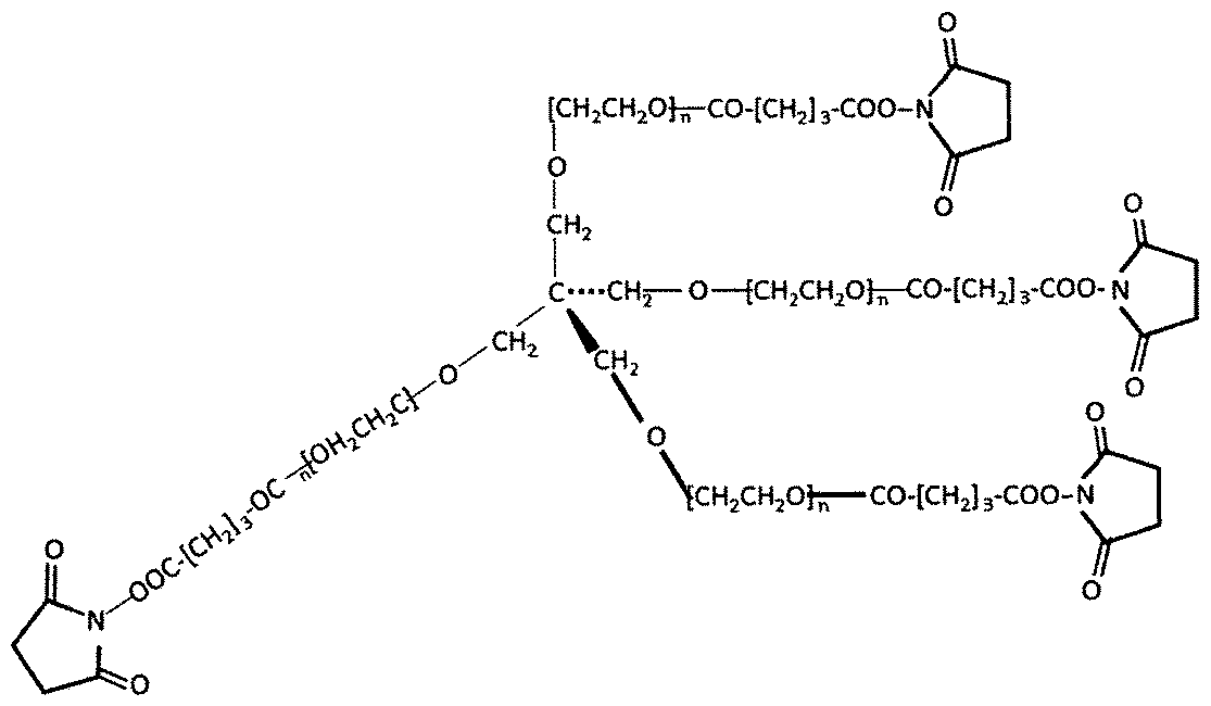 Figure JPOXMLDOC01-appb-C000007