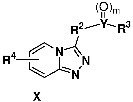 Figure imgb0100