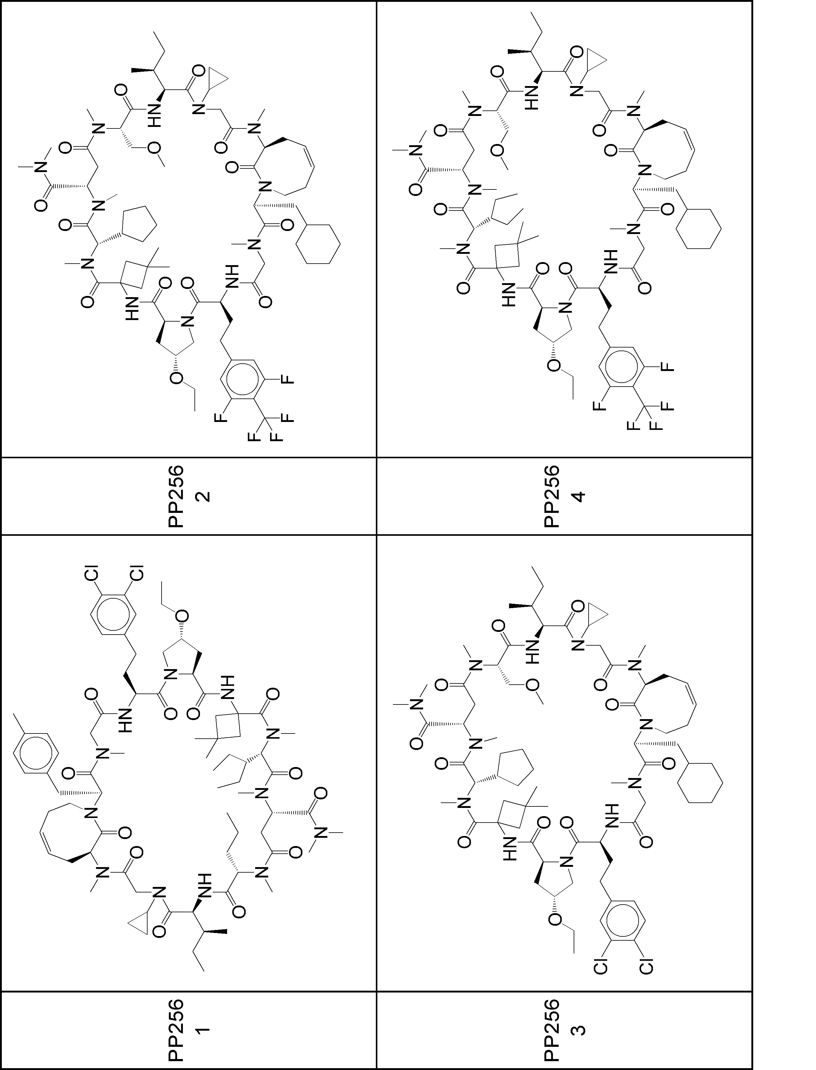 Figure JPOXMLDOC01-appb-I001097