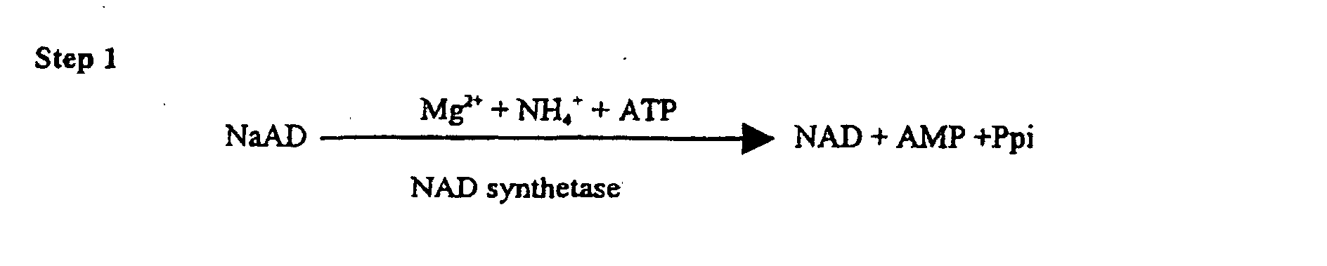 Figure 00470001