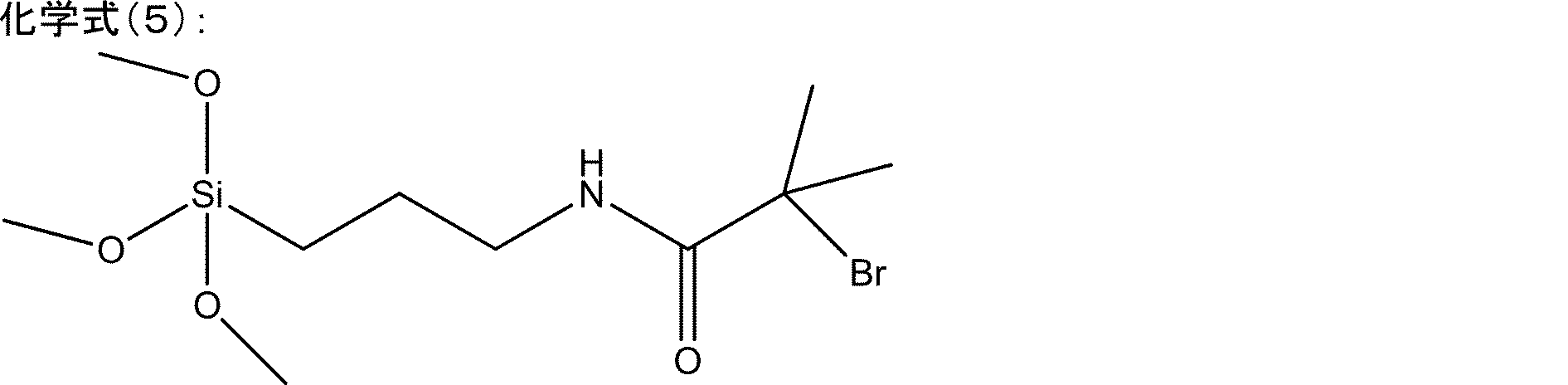 Figure JPOXMLDOC01-appb-C000023