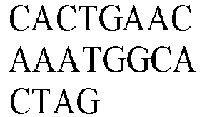Figure imgb0118
