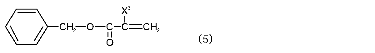 Figure JPOXMLDOC01-appb-C000009