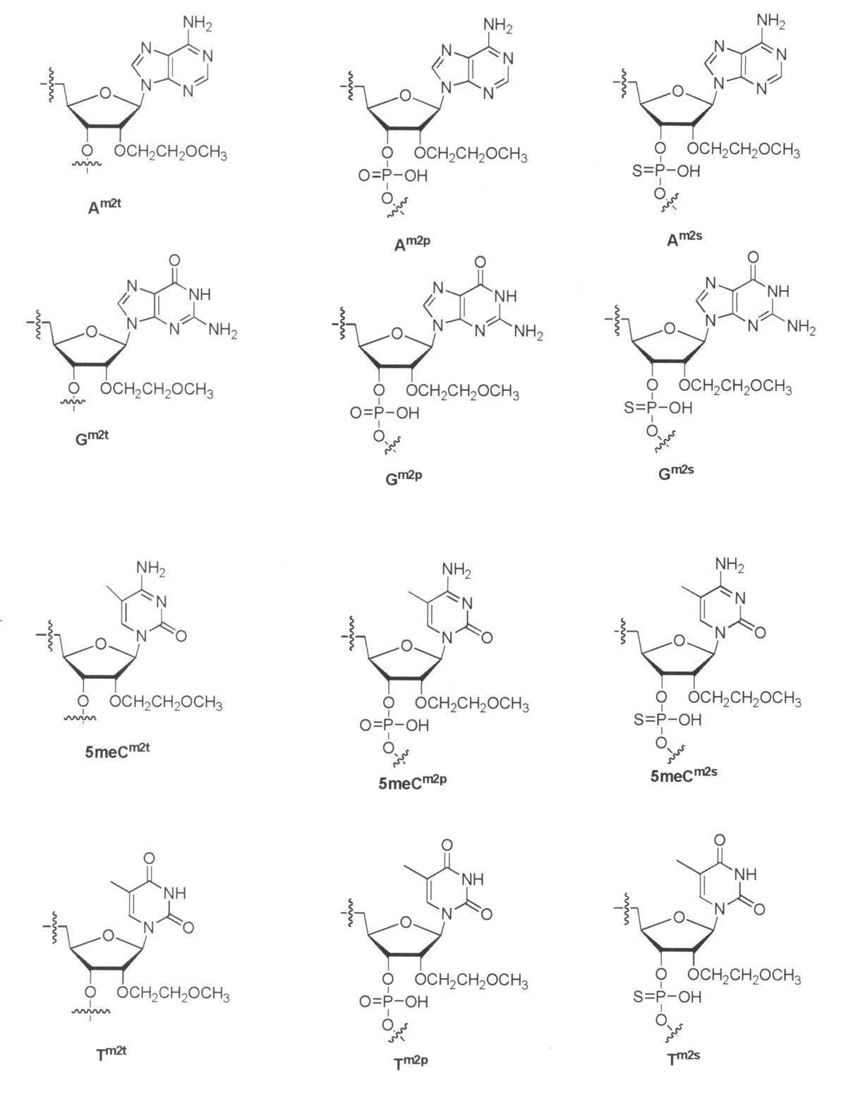 Figure JPOXMLDOC01-appb-C000048