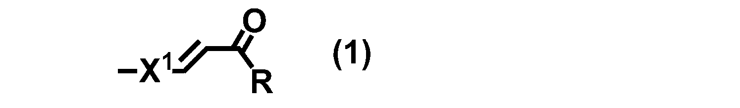 Figure JPOXMLDOC01-appb-C000009