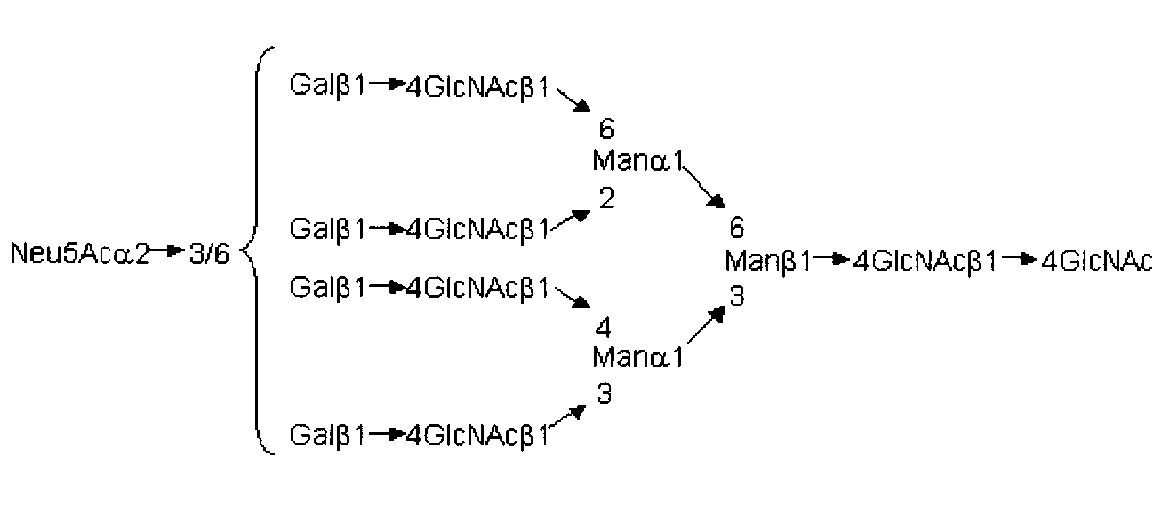 Figure JPOXMLDOC01-appb-C000006