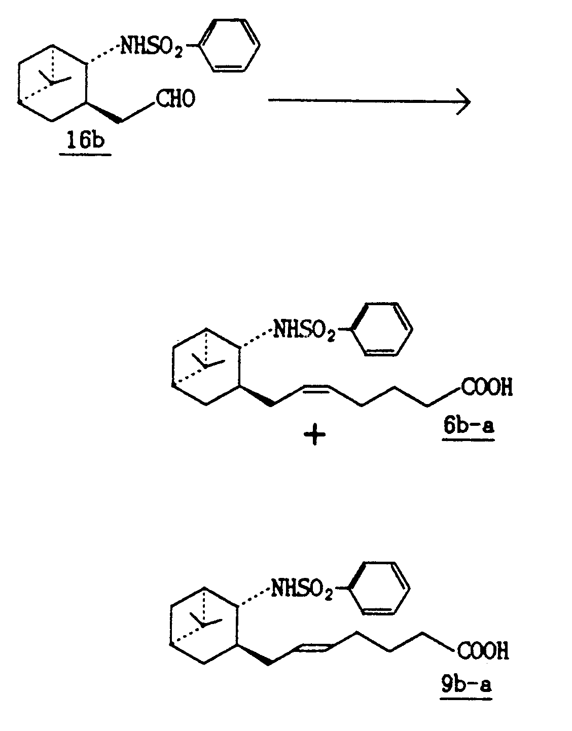 Figure imgb0050