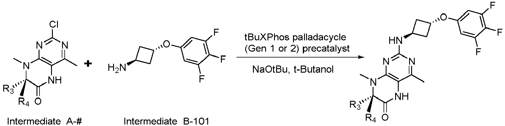 Figure imgb1121