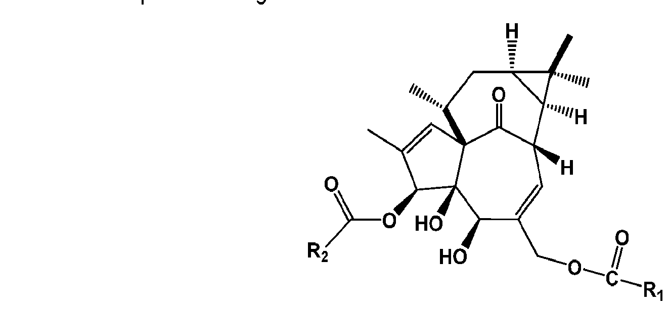 Figure imgf000046_0001
