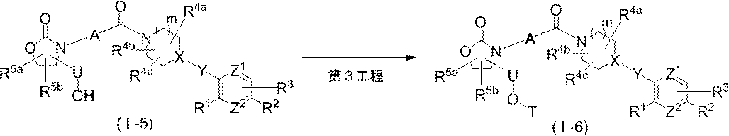 Figure JPOXMLDOC01-appb-C000036
